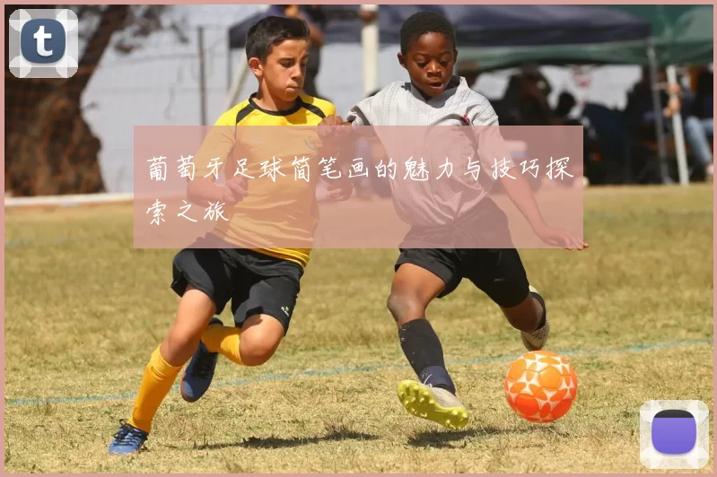 葡萄牙足球简笔画的魅力与技巧探索之旅