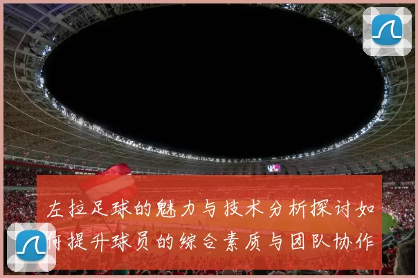 左拉足球的魅力与技术分析探讨如何提升球员的综合素质与团队协作能力