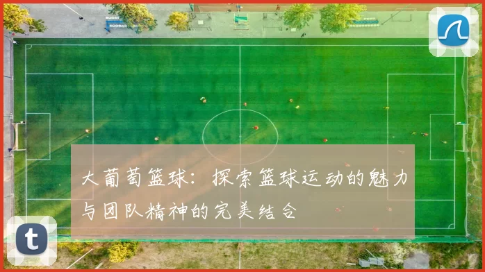 大葡萄篮球：探索篮球运动的魅力与团队精神的完美结合