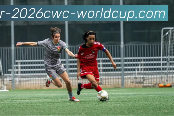 世界杯发展历程