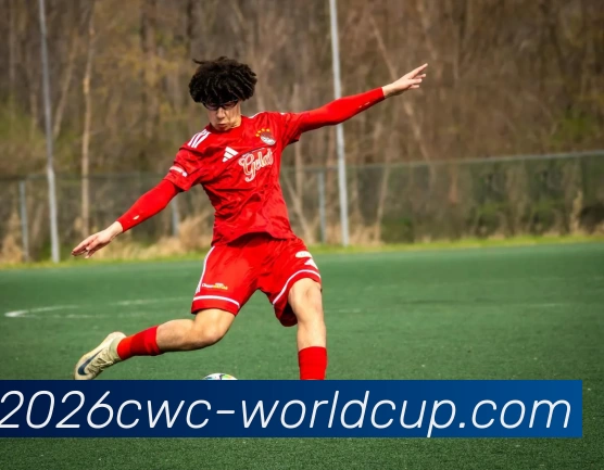 拼布足球的魅力探索：从传统技艺到现代创意的完美结合